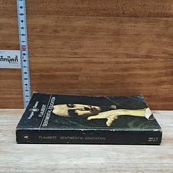 หนังสือ Sentimental Education รูปที่ 3