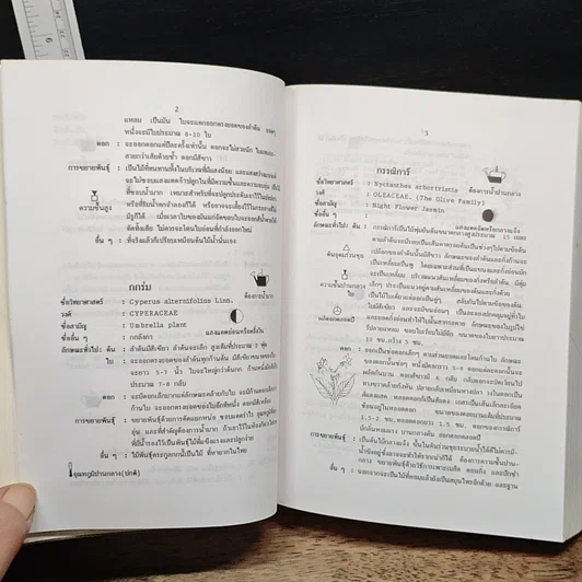 หนังสือ พจนานุกรม ไม้ดอกไม้ประดับ ในเมืองไทย รูปที่ 17