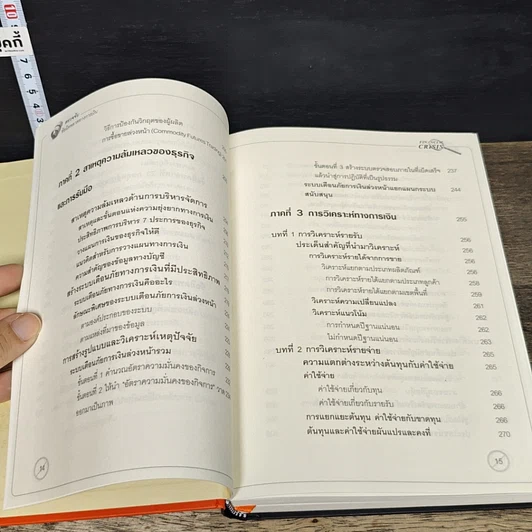 หนังสือ Financial Crisis ตรวจจับข้อผิดพลาดทางการเงิน รูปที่ 12