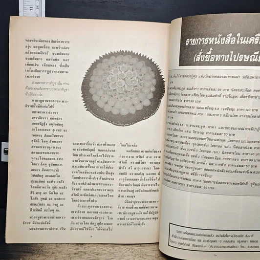 หนังสือ อานุภาพพระสยามเทวาธิราช รูปที่ 8