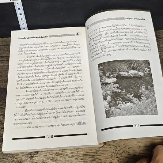 หนังสือ ฮวงจุ้ยสี มงคลแห่งชีวิต รูปที่ 9