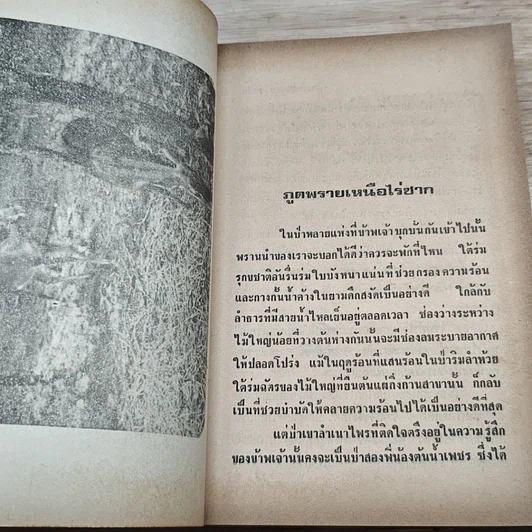 หนังสือ ไพรระทึก รูปที่ 9