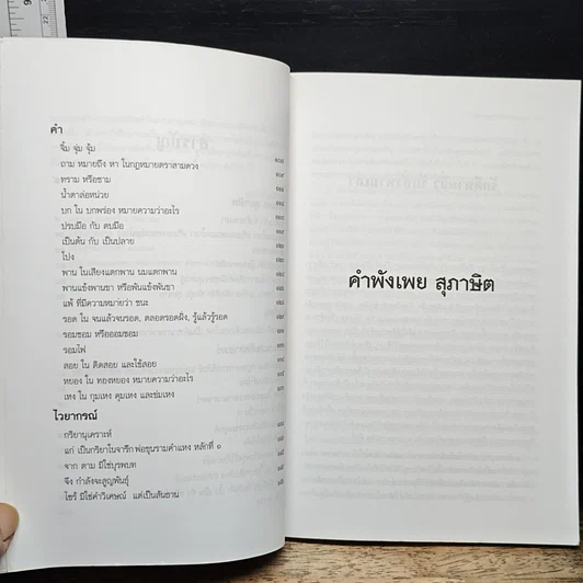 หนังสือ มุมต่างทางภาษา ตามวิถีภาษาศาสตร์ รูปที่ 9