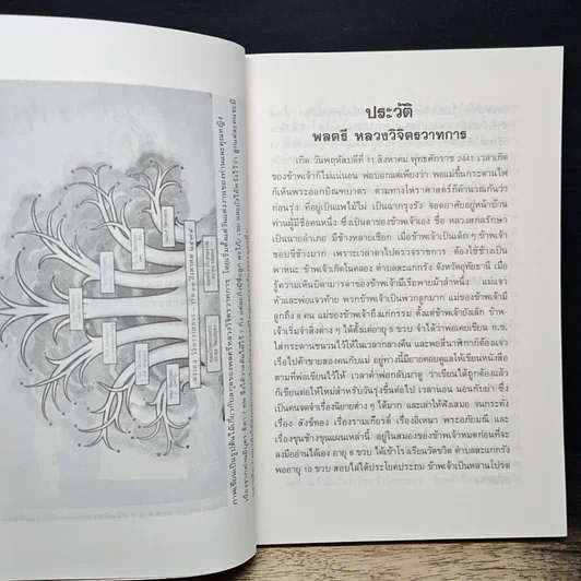 หนังสือ มันสมอง รูปที่ 6