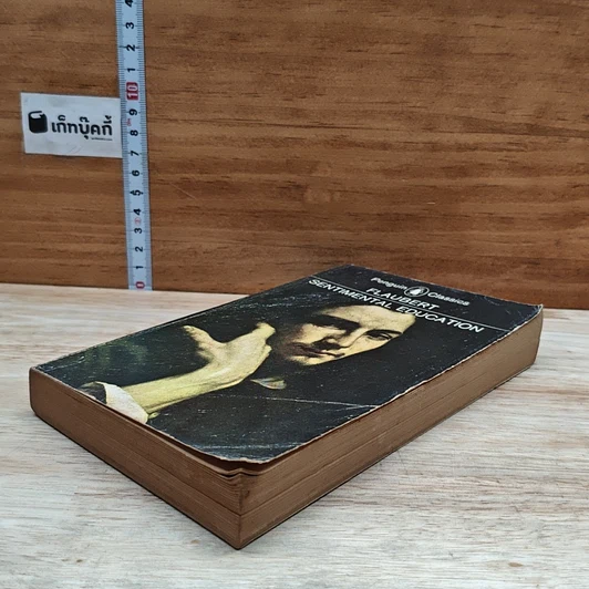 หนังสือ Sentimental Education รูปที่ 4