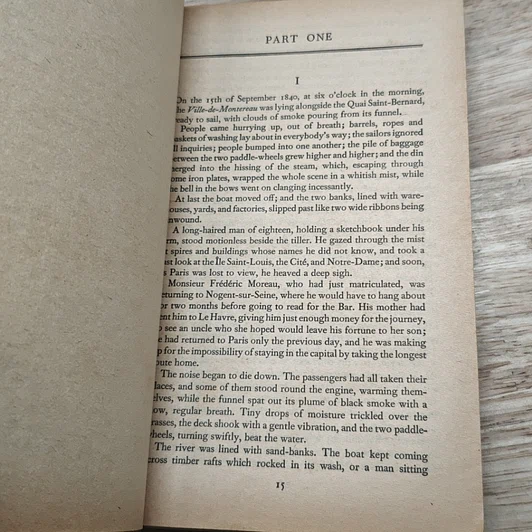 หนังสือ Sentimental Education รูปที่ 7