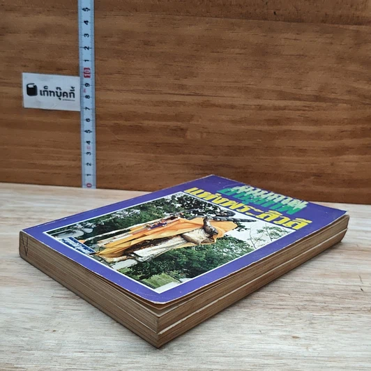 หนังสือ อานุภาพแห่งพระสิวลี รูปที่ 4