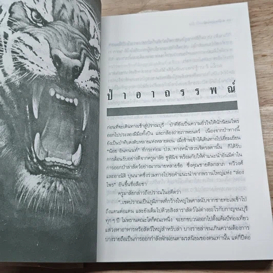 หนังสือ ป่าอาถรรพณ์ รูปที่ 7
