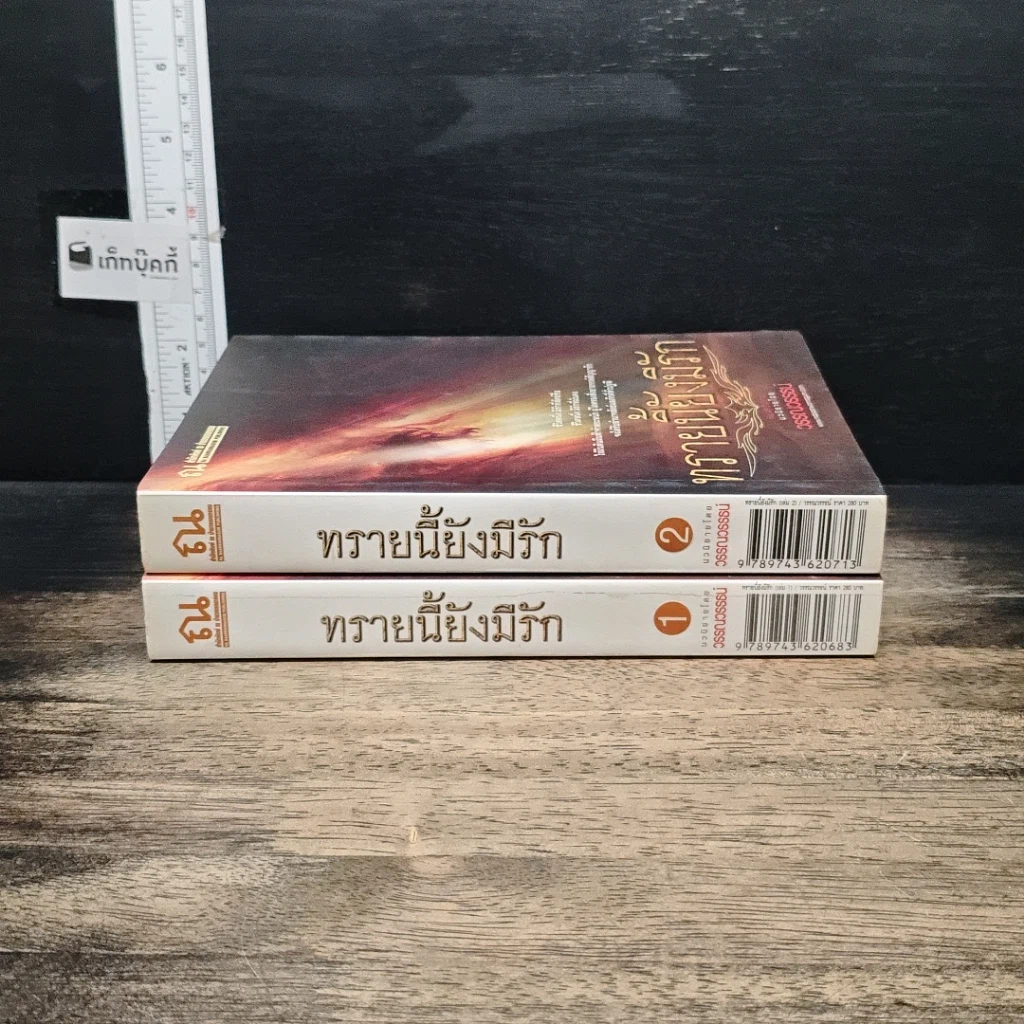 หนังสือ ทรายนี้ยังมีรัก 2 เล่มจบ รูปที่ 3