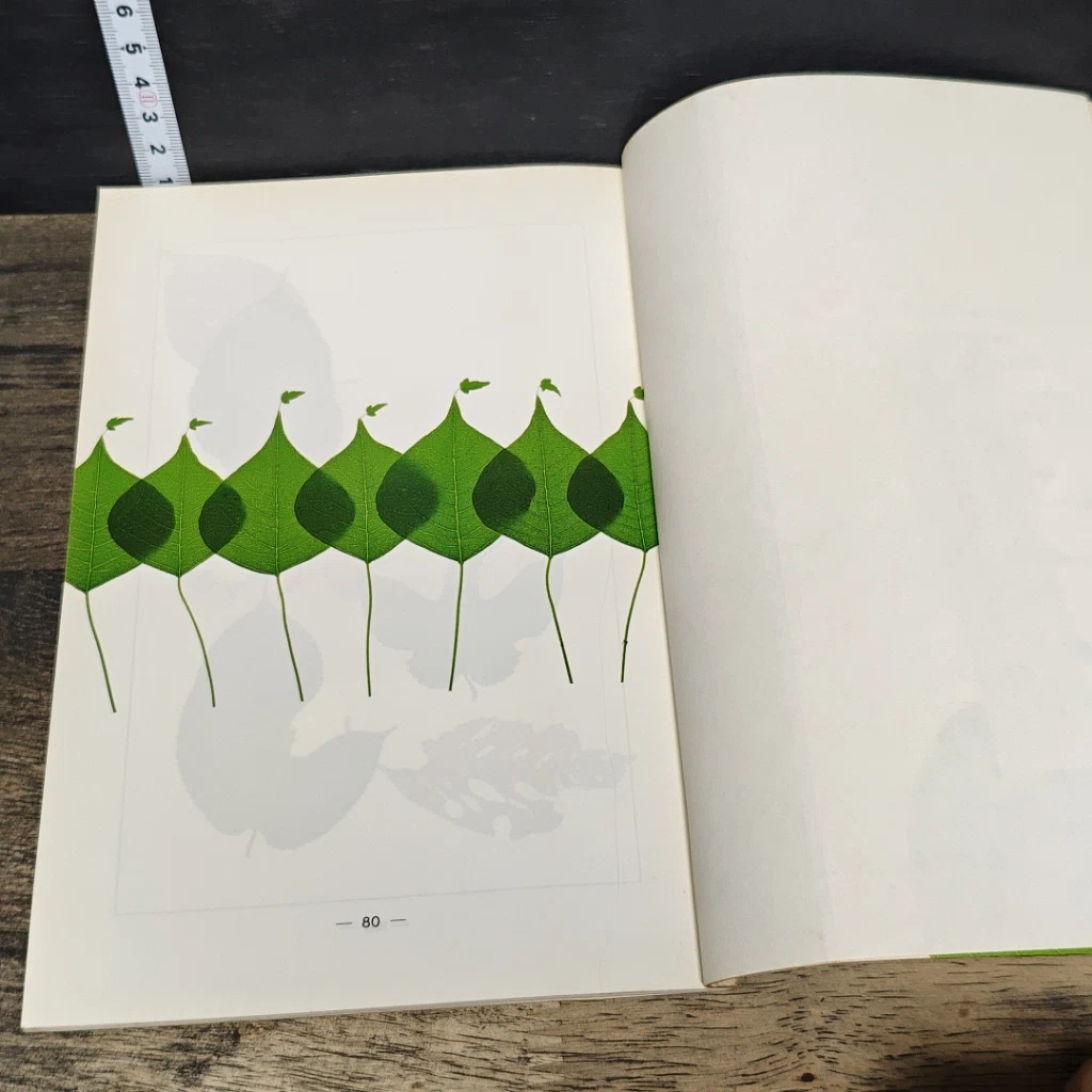 หนังสือ ปรับปรุงชีวิตให้สดใส อยู่สว่างมั่นใจ และสร้างสรรค์ รูปที่ 8