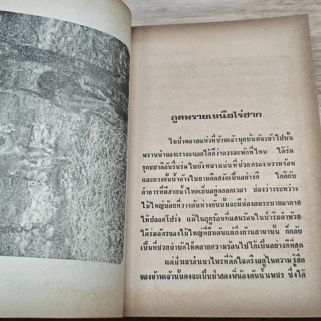 หนังสือ ไพรระทึก รูปที่ 9
