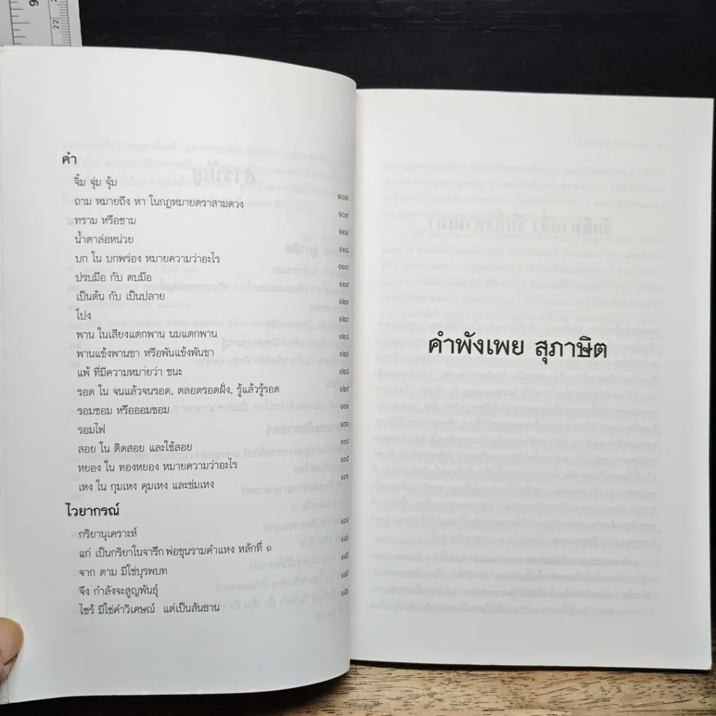 หนังสือ มุมต่างทางภาษา ตามวิถีภาษาศาสตร์ รูปที่ 9