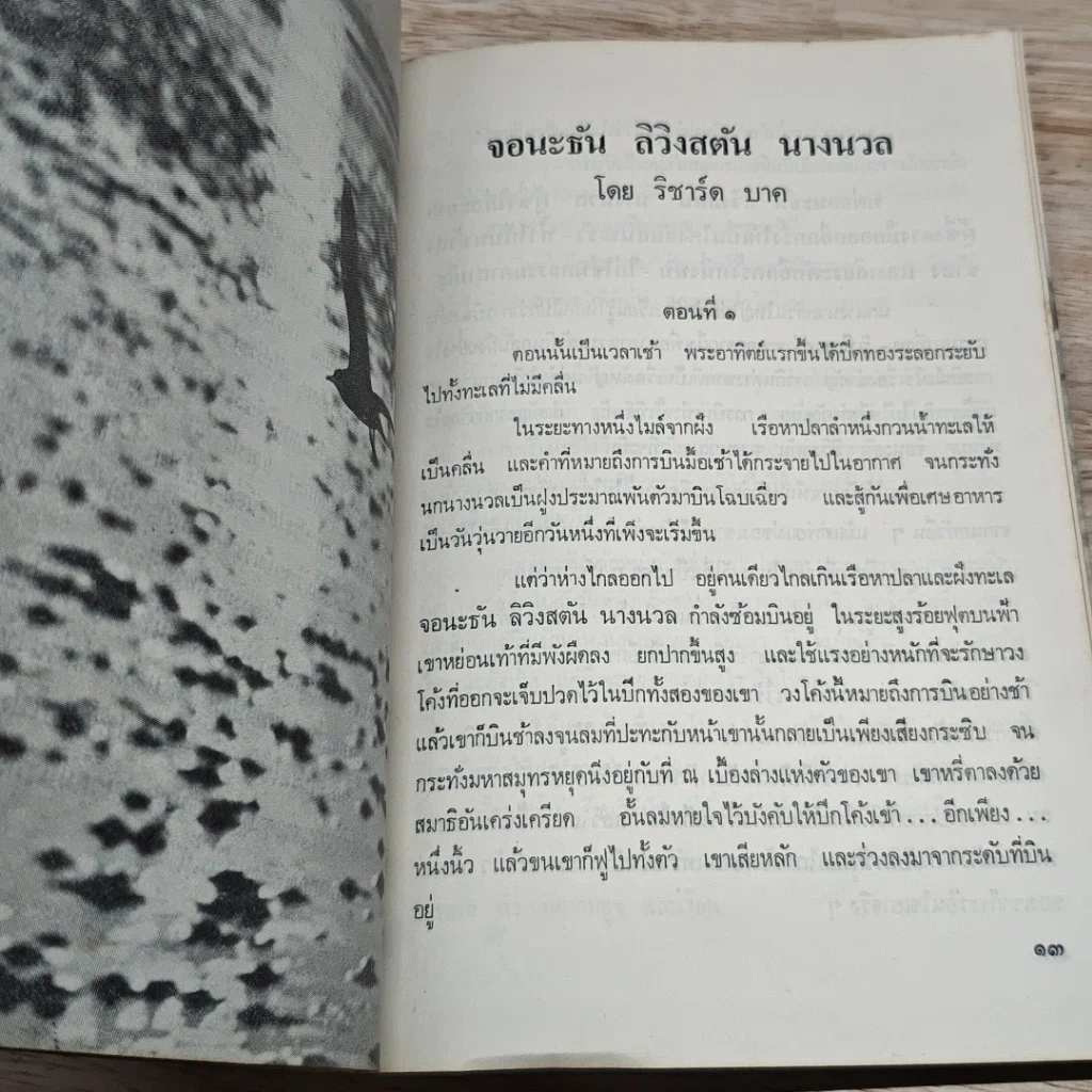 หนังสือ จอนะธัน ลิวิงสตัน นางนวล รูปที่ 6