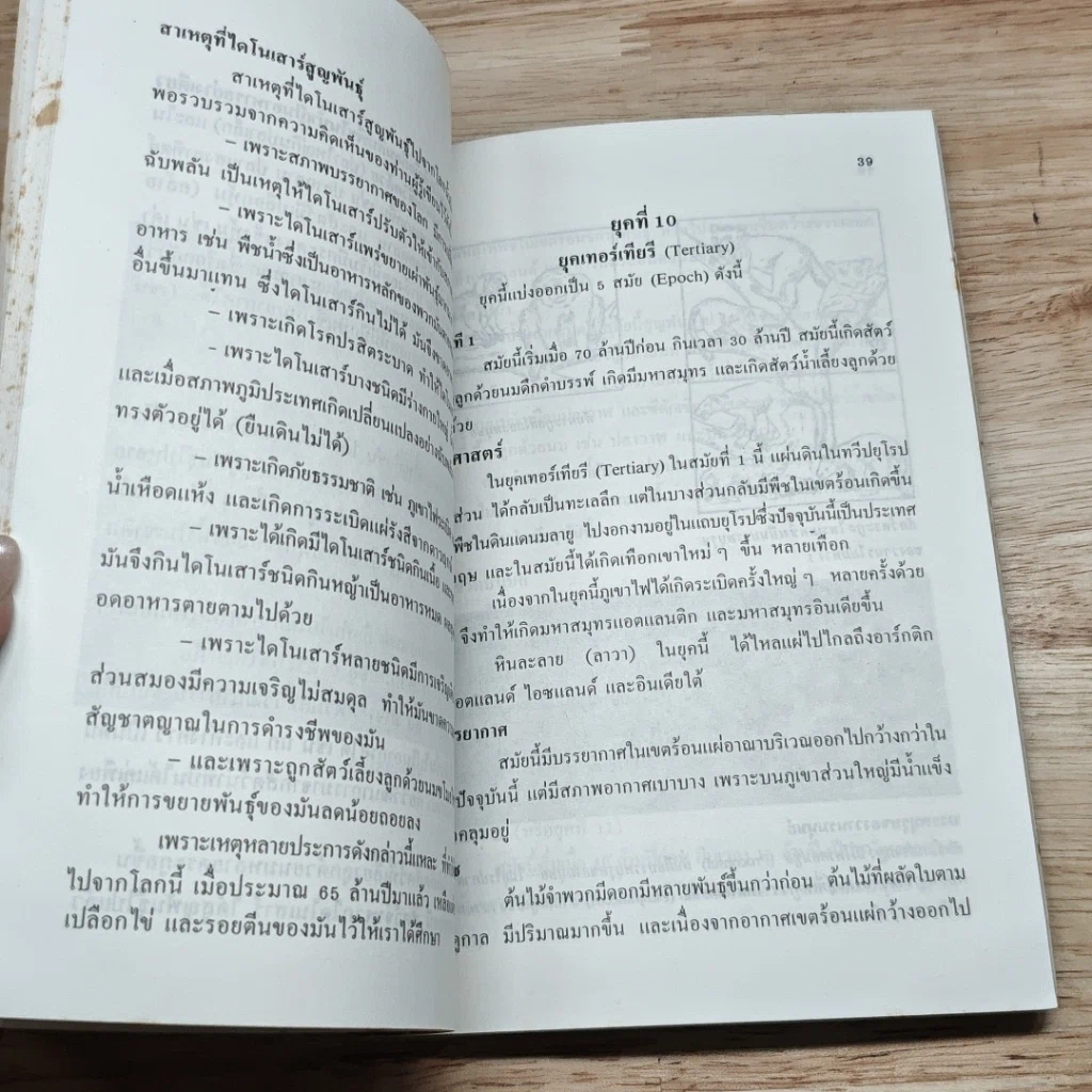 หนังสือ วิวัฒนาการ ของสิ่งมีชีวิตและมนุษย์ รูปที่ 8