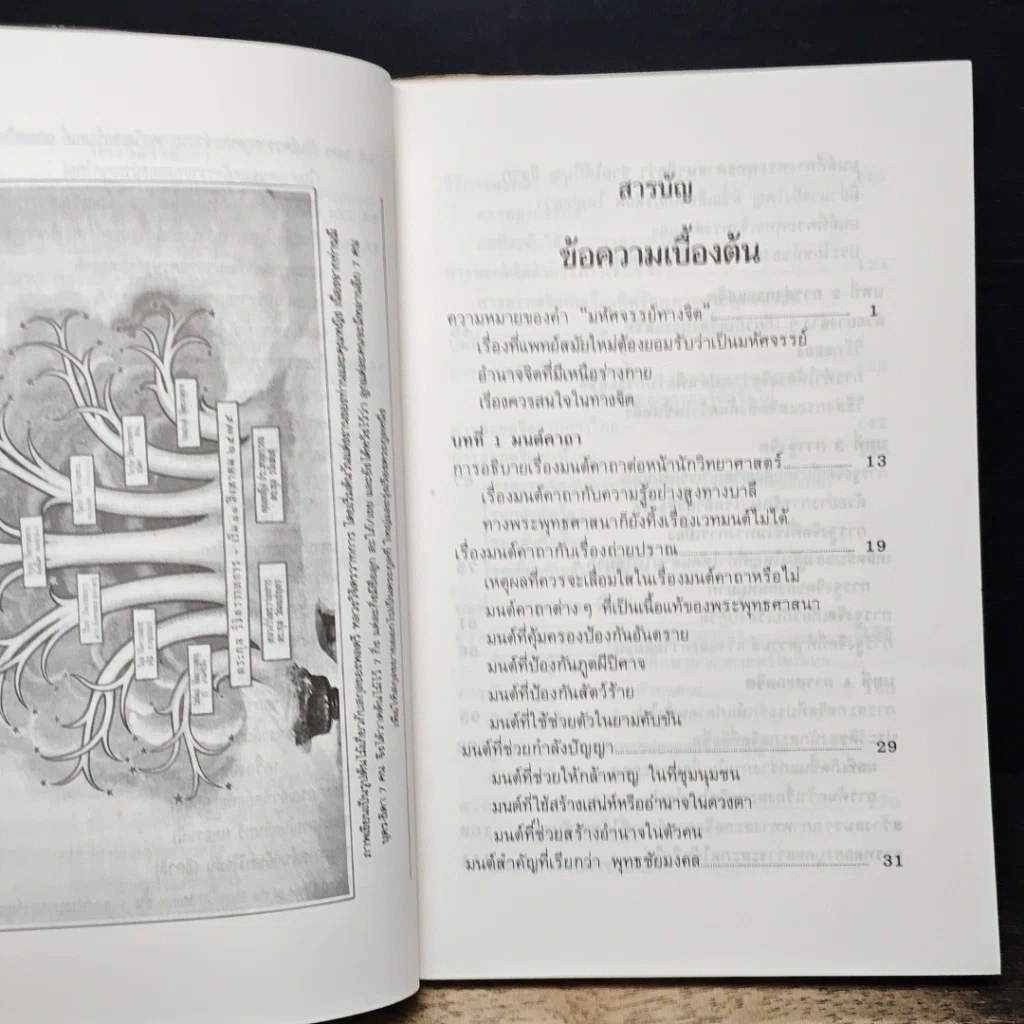 หนังสือ มหัศจรรย์ทางจิต รูปที่ 8