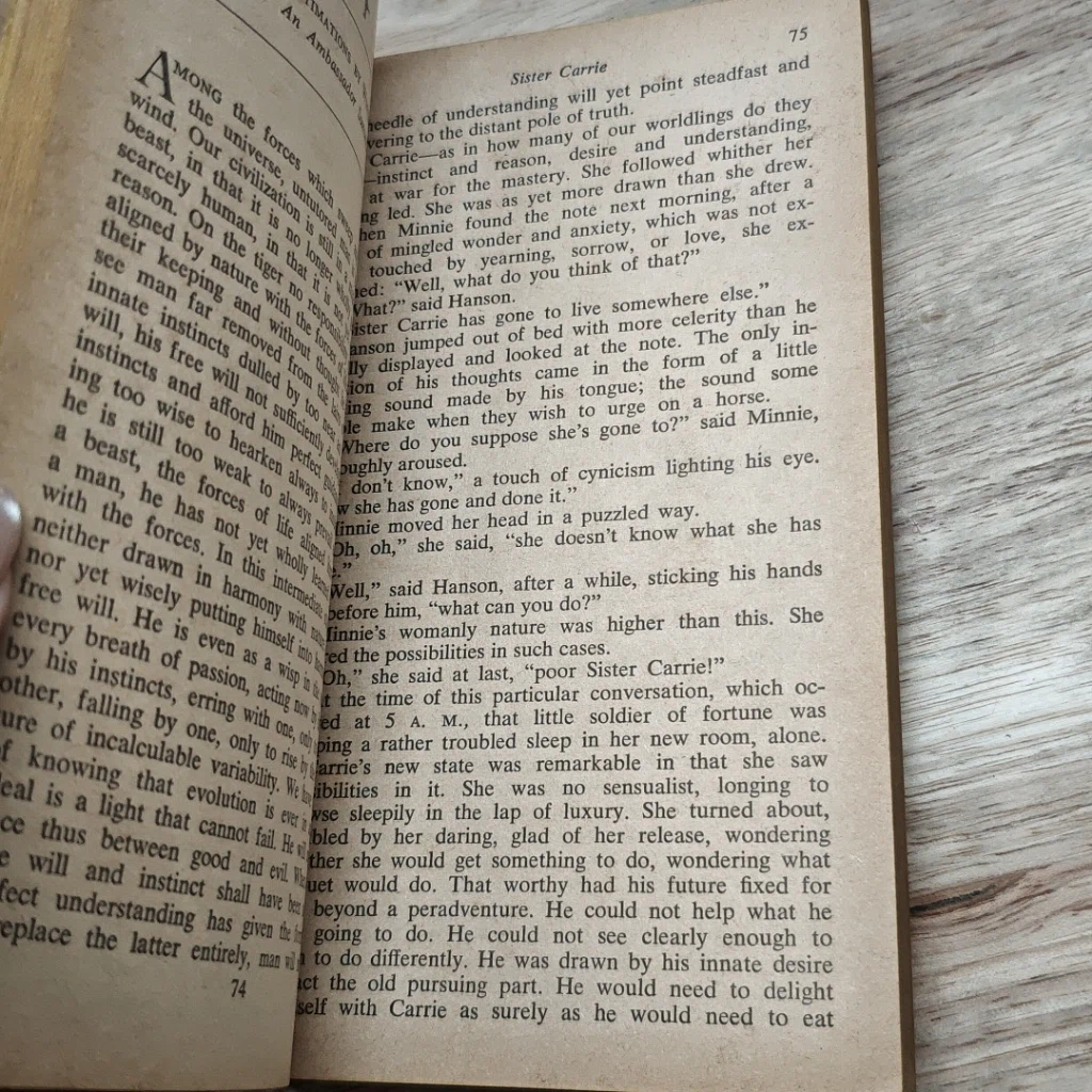 หนังสือ Sister Carrie รูปที่ 8