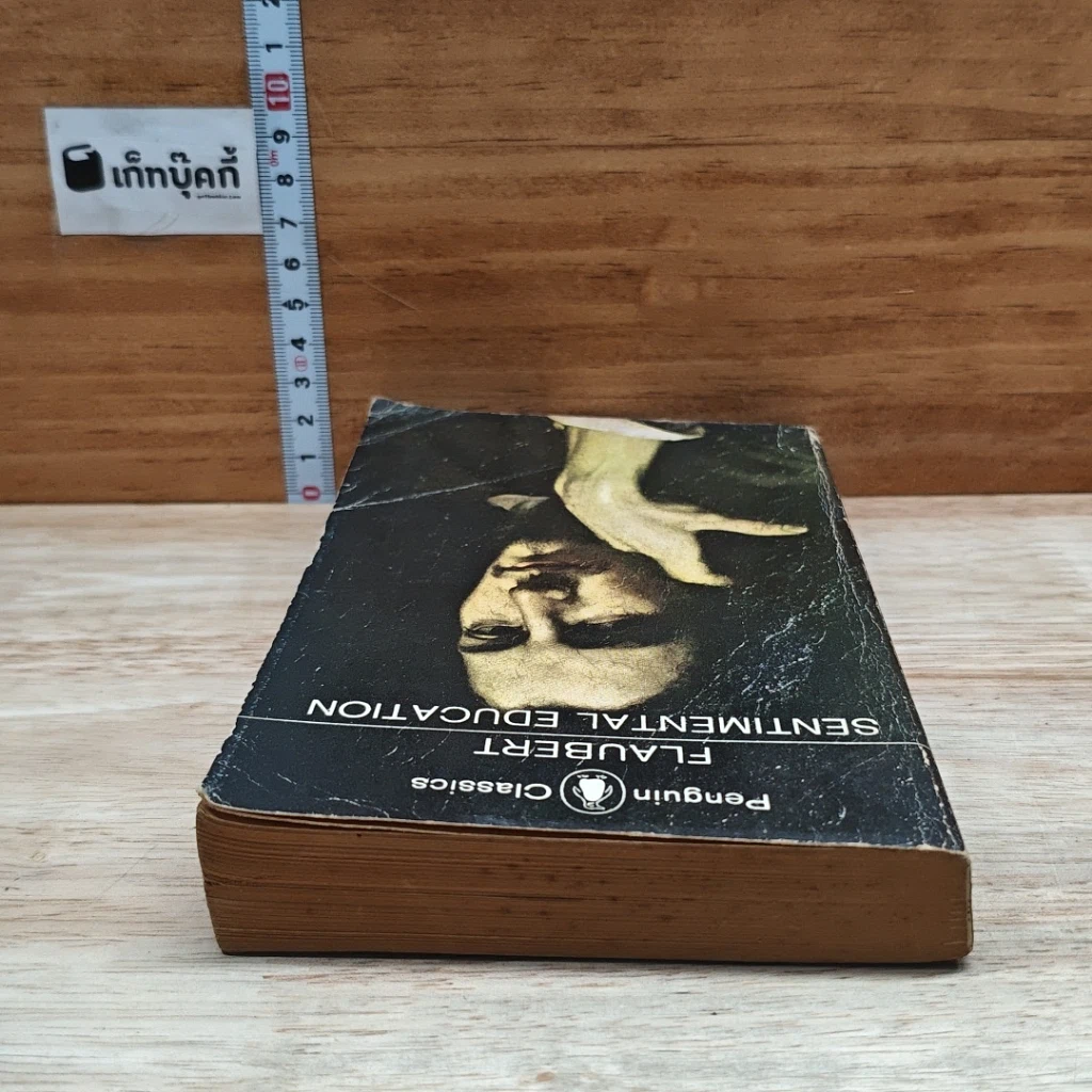 หนังสือ Sentimental Education รูปที่ 5