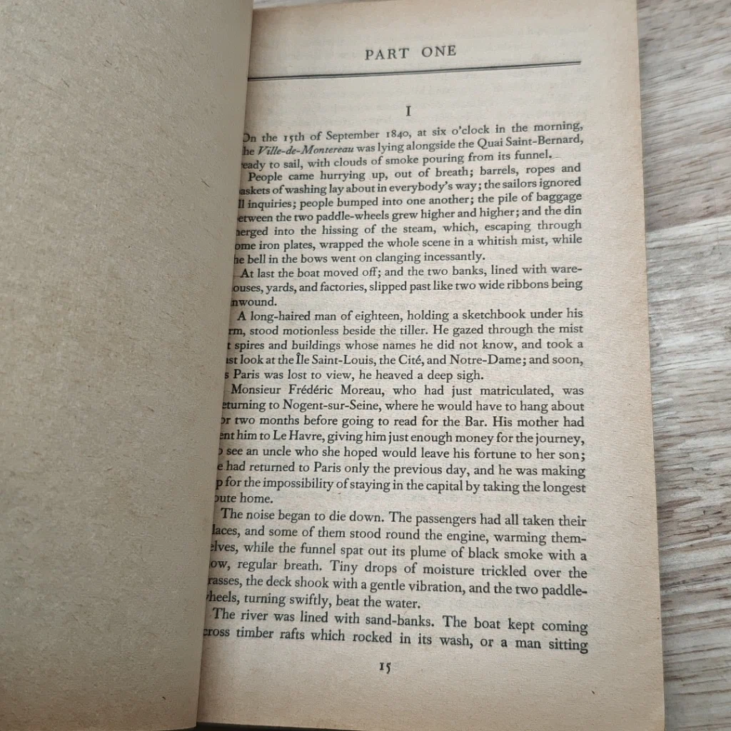 หนังสือ Sentimental Education รูปที่ 7