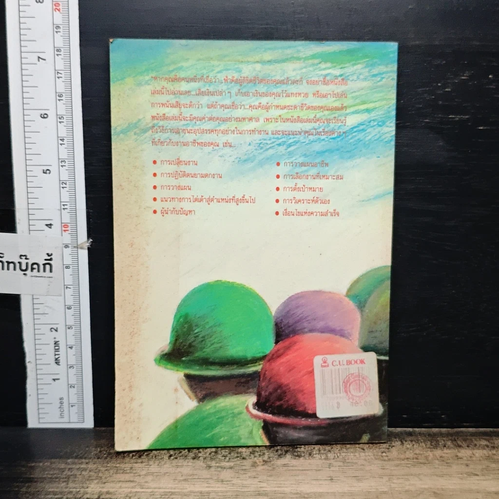 หนังสือ มิใช่....ฟ้าลิขิต รูปที่ 2