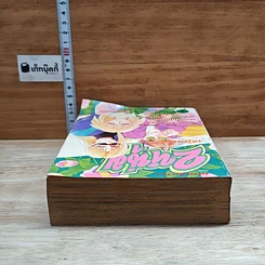 หนังสือ 2 หนุ่มขยุ้มหลังคา รูปที่ 5