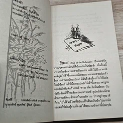 หนังสือ นิยายรักโรมานซ์ เสี่ยงรัก รูปที่ 6