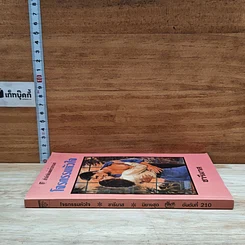 หนังสือ นิยายโรมานซ์ โจรกรรมหัวใจ รูปที่ 3