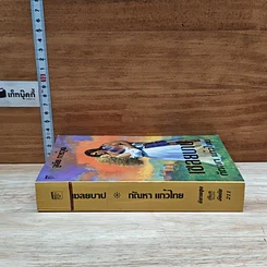 หนังสือ นิยายโรมานซ์ เชลยบาป รูปที่ 3