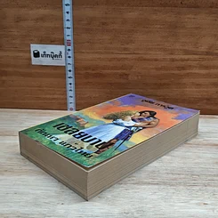 หนังสือ นิยายโรมานซ์ เชลยบาป รูปที่ 4