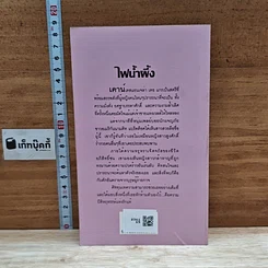 หนังสือ นิยายโรมานซ์ ไฟน้ำผึ้ง รูปที่ 2