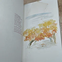 หนังสือ ในคำว่ารัก รูปที่ 7