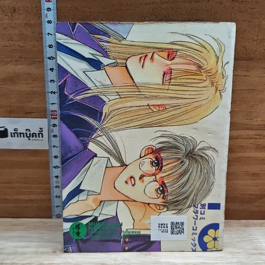 หนังสือ 2 หนุ่มขยุ้มหลังคา รูปที่ 2