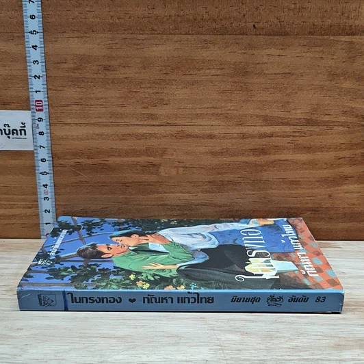 หนังสือ นิยายโรมานซ์ ในกรงทอง รูปที่ 3