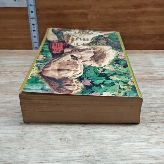 หนังสือ นิยายโรมานซ์ เจ้าสาวแสนกล รูปที่ 5