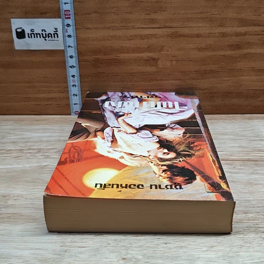 หนังสือ นิยายโรมานซ์ ไฟน้ำผึ้ง รูปที่ 5