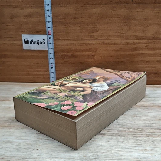 หนังสือ นิยายโรมานซ์ เปลวไฟในอารมณ์ รูปที่ 4