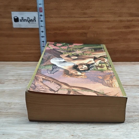 หนังสือ นิยายโรมานซ์ เปลวไฟในอารมณ์ รูปที่ 5