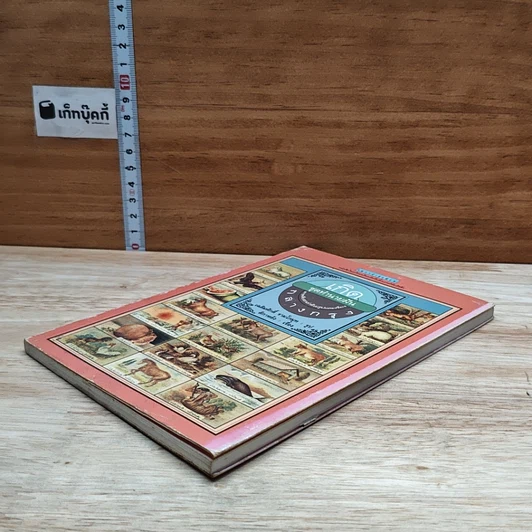 หนังสือ เกิดกลางกรุง ชุดทำนายฝัน รูปที่ 4