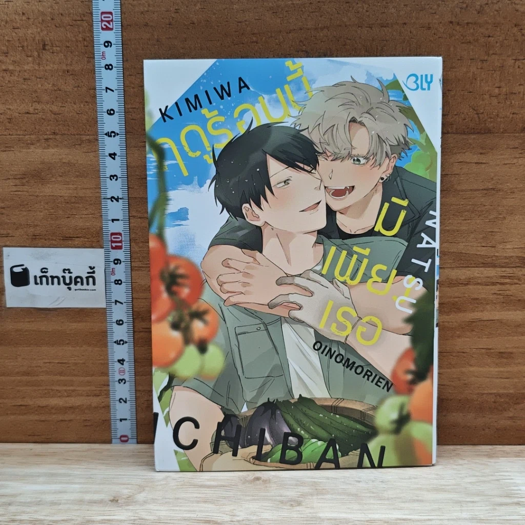 หนังสือ ฤดูร้อนนี้มีเพียงเธอ รูปที่ 1