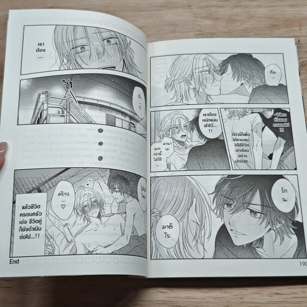 หนังสือ แผนรักฉบับครอบครัวตัวปลอม รูปที่ 8