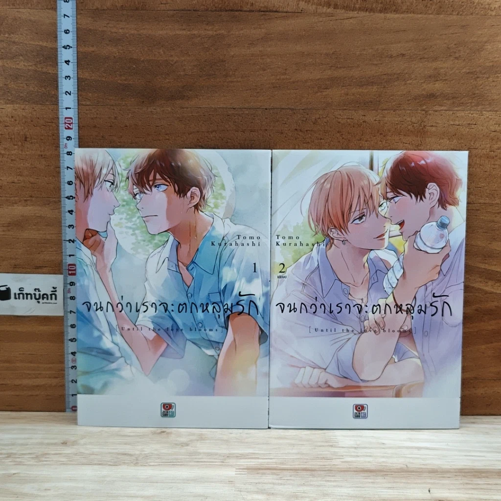 หนังสือ จนกว่าเราจะตกหลุมรัก 2 เล่มจบ รูปที่ 1