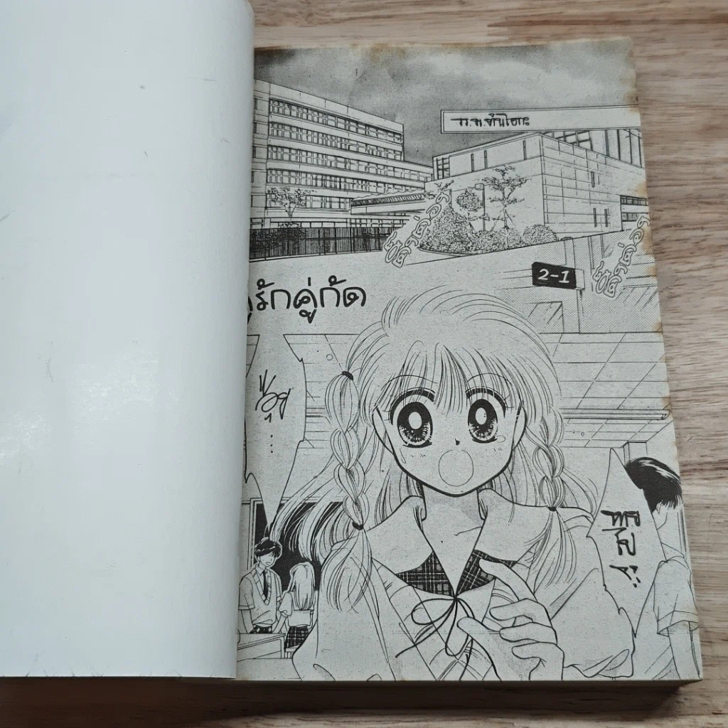 หนังสือ คู่รักคู่กัด รูปที่ 6