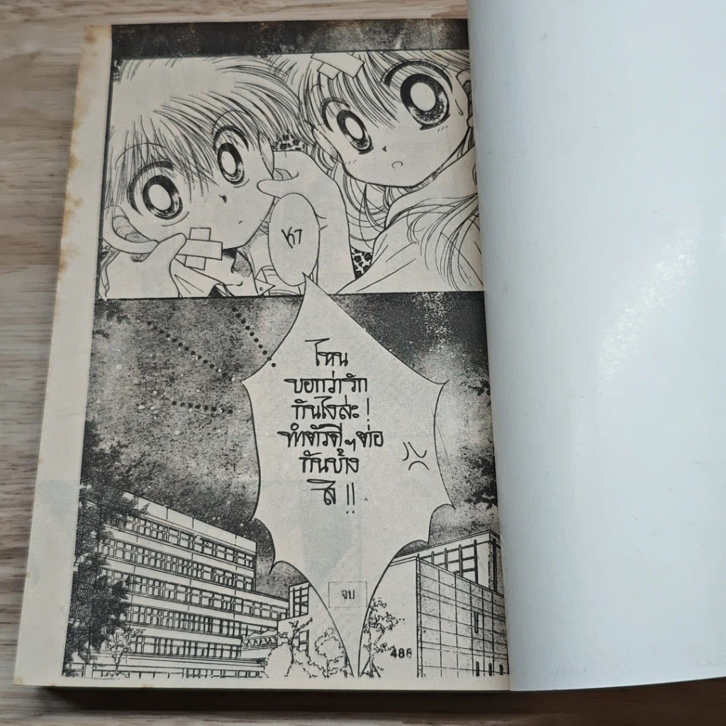 หนังสือ คู่รักคู่กัด รูปที่ 7