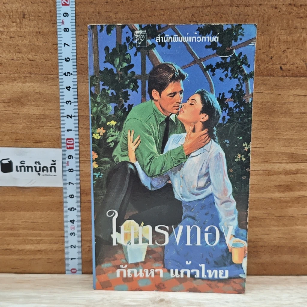 หนังสือ นิยายโรมานซ์ ในกรงทอง รูปที่ 1
