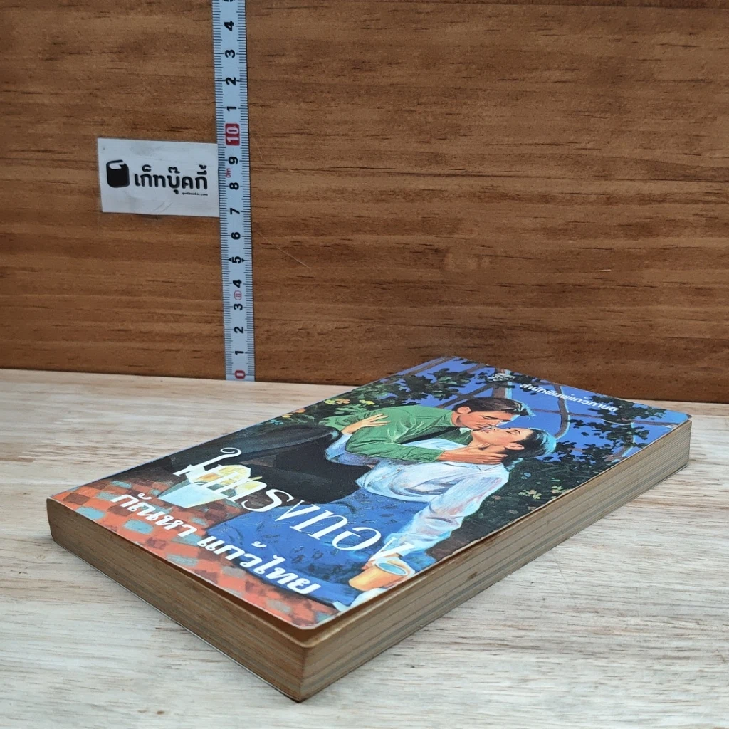 หนังสือ นิยายโรมานซ์ ในกรงทอง รูปที่ 4