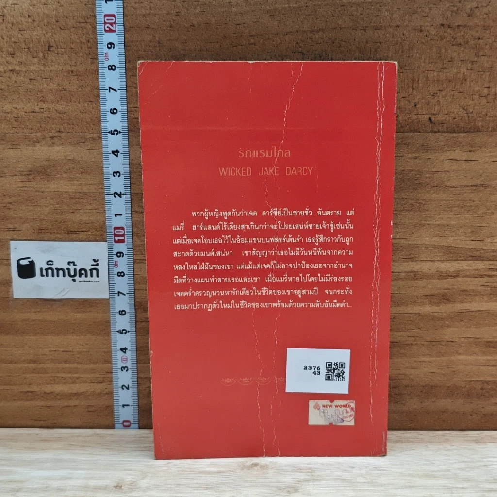 หนังสือ นิยายโรมานซ์ รักแรมไกล รูปที่ 2