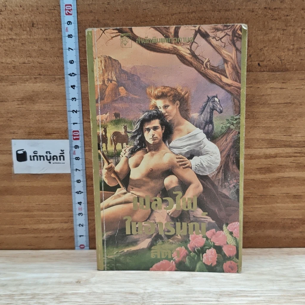 หนังสือ นิยายโรมานซ์ เปลวไฟในอารมณ์ รูปที่ 1