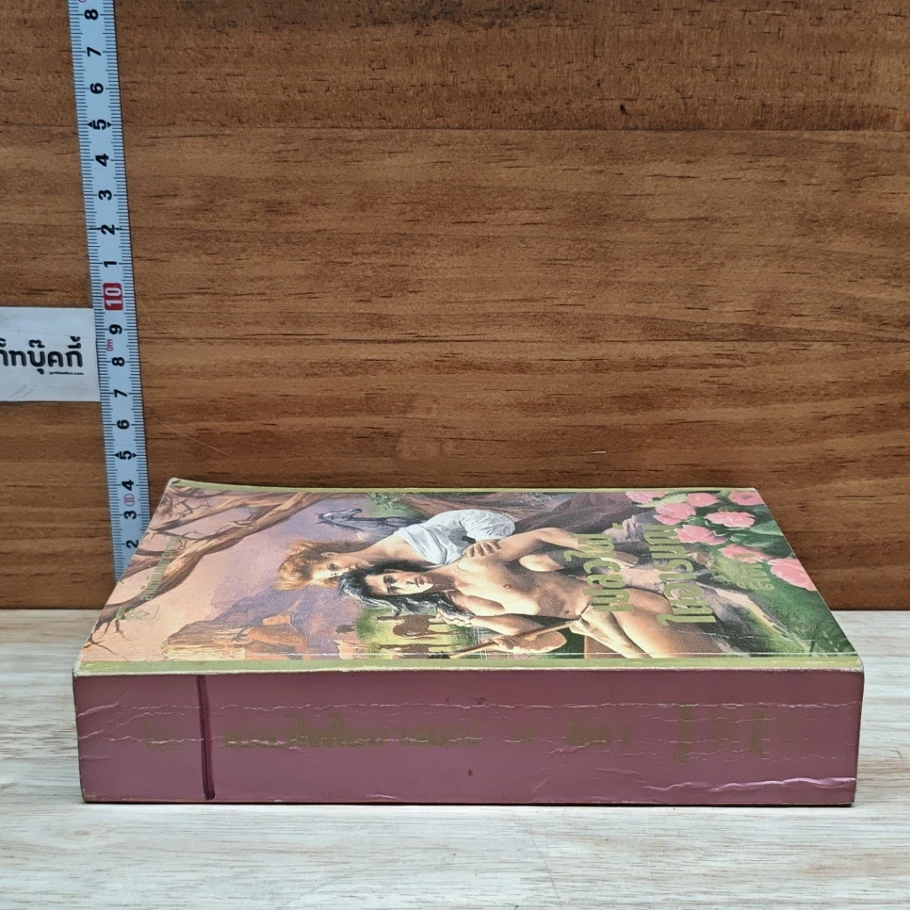 หนังสือ นิยายโรมานซ์ เปลวไฟในอารมณ์ รูปที่ 3