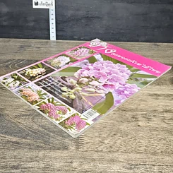 หนังสือ ช้าง สุดยอดกล้วยไม้ไทย รูปที่ 3