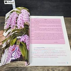 หนังสือ ช้าง สุดยอดกล้วยไม้ไทย รูปที่ 6