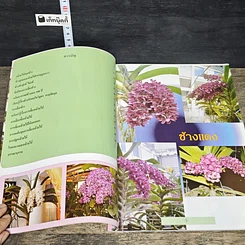หนังสือ ช้าง สุดยอดกล้วยไม้ไทย รูปที่ 7
